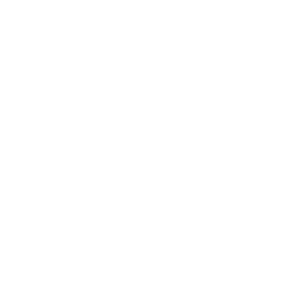 Quinn Roche